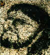 : Face of Christ on a rock