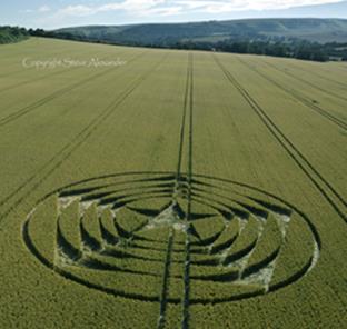 : Wilmington crop formation that appeared in England in the summer of 2014