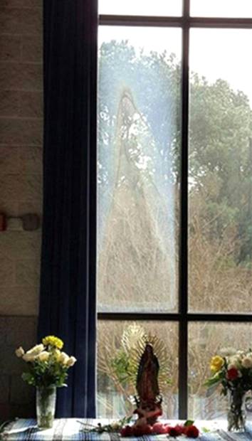 Описание: Цивилизации нового времени образ Девы Марии