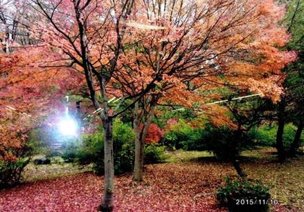 Описание: D:\Игорь\00-Сайт КБК\2016-04\April 2016 issue_files\medi.201604_light_blessing1.jpg